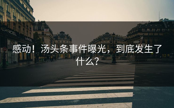 感动！汤头条事件曝光，到底发生了什么？