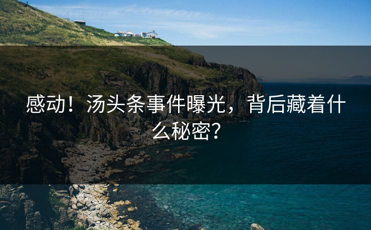 感动！汤头条事件曝光，背后藏着什么秘密？