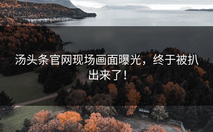 汤头条官网现场画面曝光，终于被扒出来了！