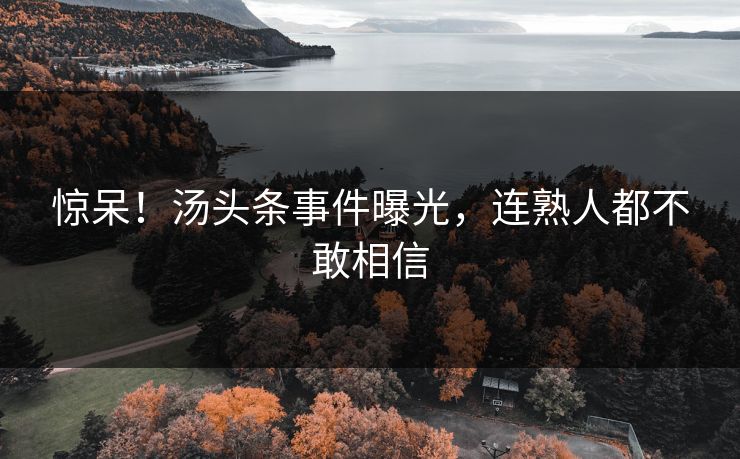 惊呆！汤头条事件曝光，连熟人都不敢相信