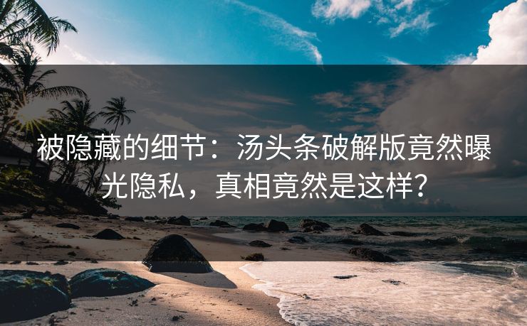 被隐藏的细节：汤头条破解版竟然曝光隐私，真相竟然是这样？