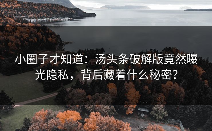 小圈子才知道：汤头条破解版竟然曝光隐私，背后藏着什么秘密？