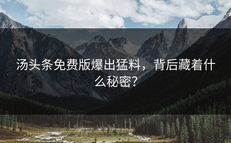 汤头条免费版爆出猛料，背后藏着什么秘密？