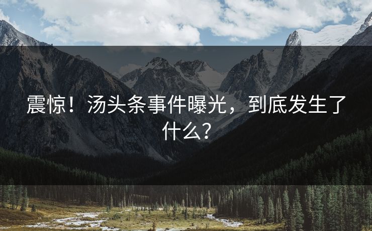 震惊！汤头条事件曝光，到底发生了什么？