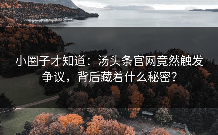 小圈子才知道：汤头条官网竟然触发争议，背后藏着什么秘密？