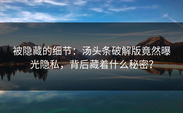 被隐藏的细节：汤头条破解版竟然曝光隐私，背后藏着什么秘密？
