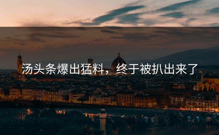 汤头条爆出猛料，终于被扒出来了