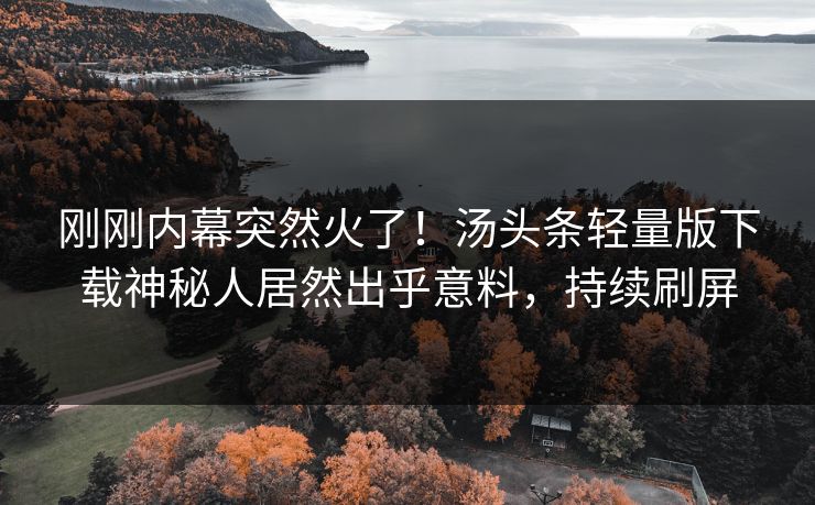 刚刚内幕突然火了！汤头条轻量版下载神秘人居然出乎意料，持续刷屏